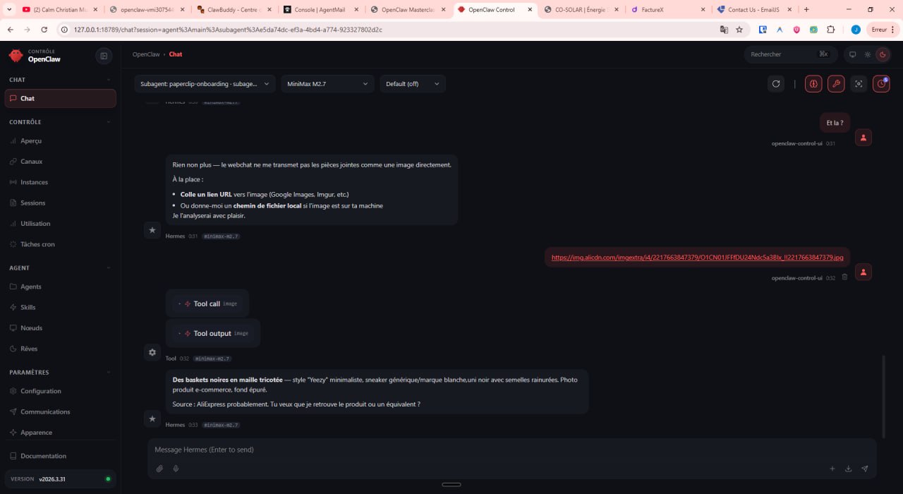 Agent IA Hermes en action — analyse d'images